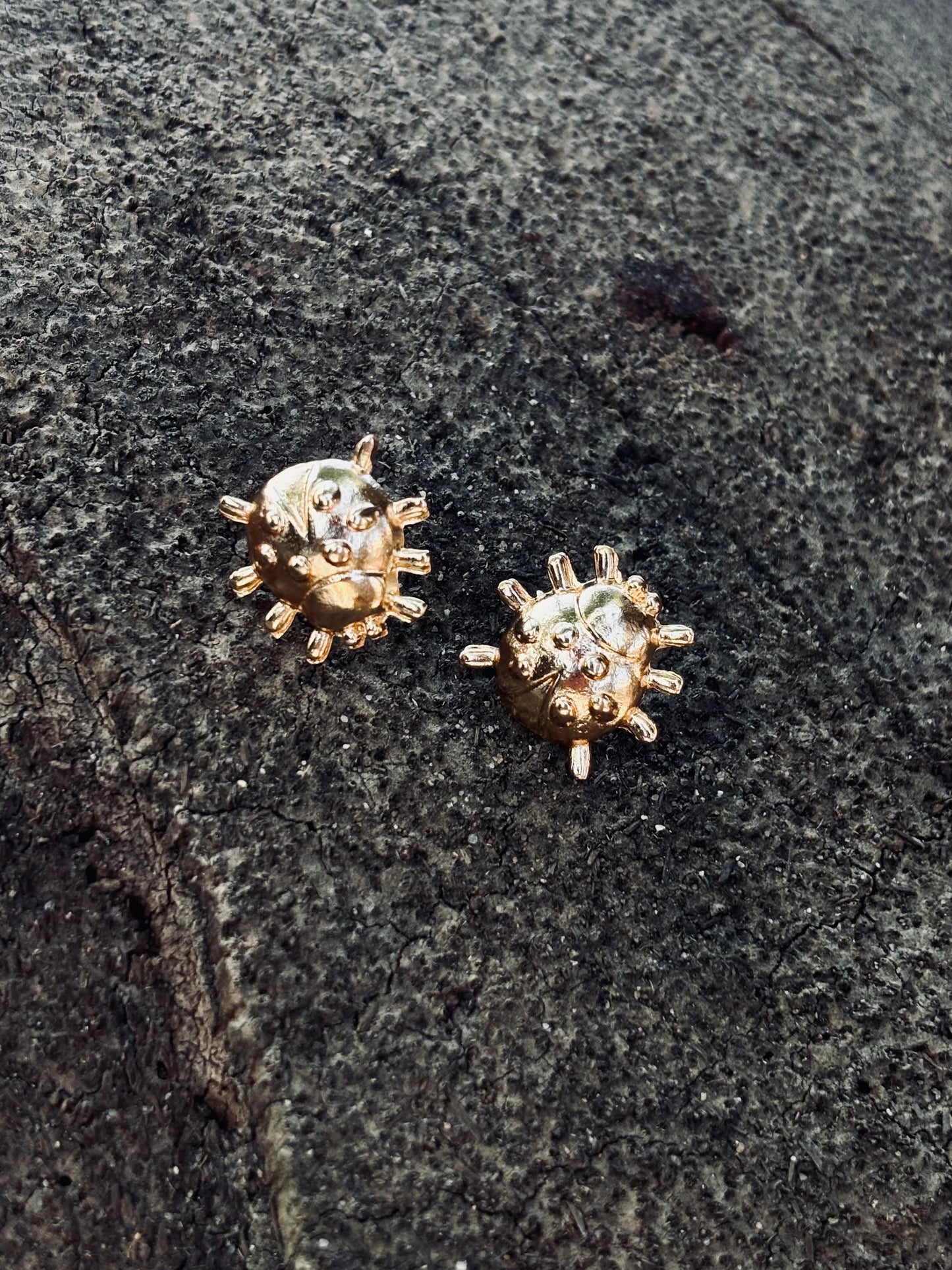 SOFIA STUDS