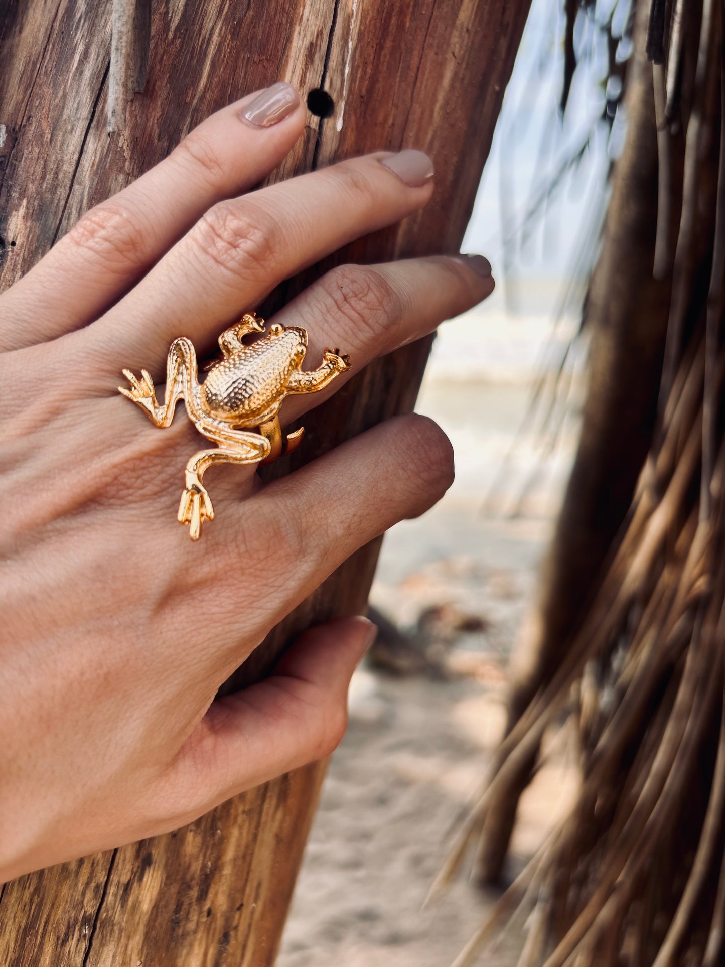 ANA RING